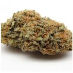 Шишки AK47 (Гидропоника, Бошка) VHQ в Касимове Шишки AK47 (Гидропоника, Бошка) VHQ в Касимове