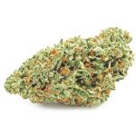 Шишки OG Kush (Гидропоника, бошки) VHQ в Касимове Шишки OG Kush (Гидропоника, бошки) VHQ в Касимове